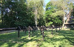 21_iP_190610_IMG_4018