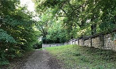 85_ip_20180712_IMG_2183