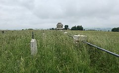 46_iP_20200615_IMG_1109