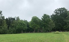 02_iP_20200615_IMG_1115