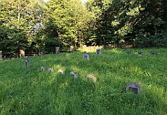 18_ip_20180712_IMG_2207