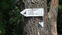 Cmentarz_Wojenny_055_Gladyszow