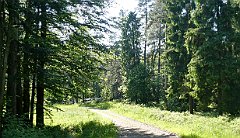 Cmentarz_Wojenny_060_Przelecz_Malastowska