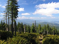 2664_Widok_na_Kotline_Zywiecka