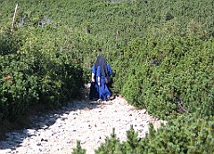 2711_Na_BG_Zakonnice