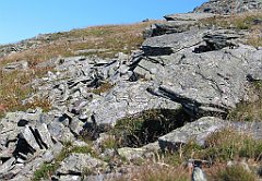 2727_Na_BG_goloborze