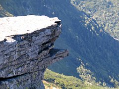 2731_Na_BG_goloborze