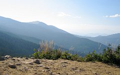 2762_Sokolica_na_MBG