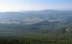 2769_Sokolica_na_Zawoje