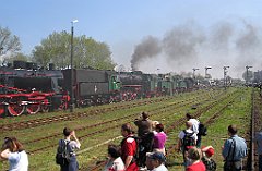 5456_Wolsztyn