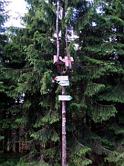 12040_Malinowska_Skala