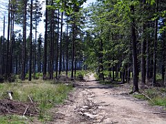 12054_Przelecz_Malinowska