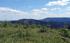 12085_Zielony_Kopiec