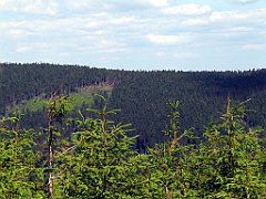 12096_Kopa_Skrzyczenska