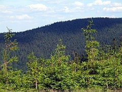 12097_Malinowska_Skala