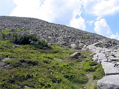 12637_Wielki_Szyszak