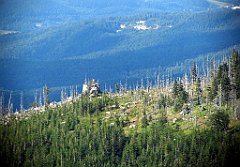 12747_Borowczane_Skaly