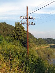 13179_Slup_telefoniczny