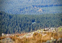 15154_Markowe_Szczawiny