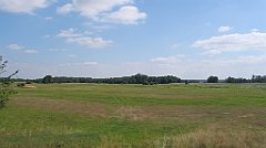 IMG_23596_cr