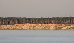 IMG_x13562_cr