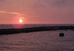 IMG_x14110_cr
