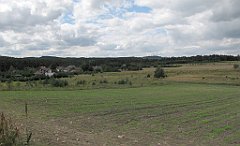 IMG_x14487_cr