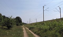 IMG_x17062_cr