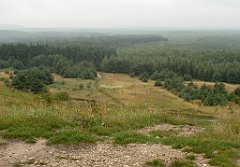 IMG_x17567_X44_P07290024_cr