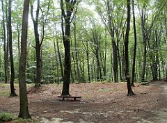 IMG_x17567_X44_P07290035_cr