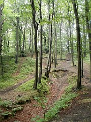 IMG_x17567_X44_P07290039_cr