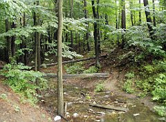 IMG_x17567_X44_P07290042_cr