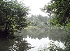 IMG_x17567_X44_P07290043_cr