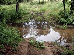 IMG_x17567_X44_P07290055_cr