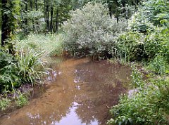 IMG_x17567_X44_P07290057_cr