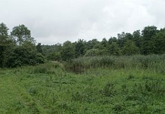 IMG_x17567_X44_P07290058_cr