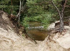 IMG_x17567_X44_P07290065_cr