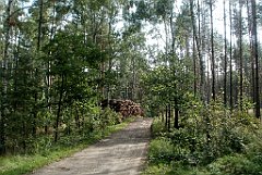 IMG_x17690_X44_P08060045_cr