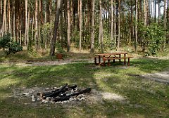 IMG_x17690_X44_P08060054_cr