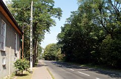 IMG_x18064_X44_P09010462_cr