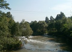 IMG_x18064_X44_P09010464_cr