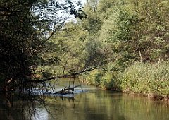 IMG_x18064_X44_P09010485_cr