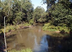 IMG_x18064_X44_P09010491_cr