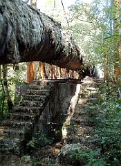 IMG_x18064_X44_P09010497_cr