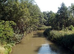 IMG_x18064_X44_P09010505_cr