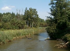 IMG_x18064_X44_P09010523_cr