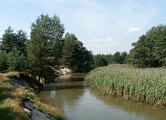 IMG_x18064_X44_P09010531_cr