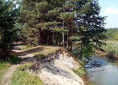 IMG_x18064_X44_P09010540_cr