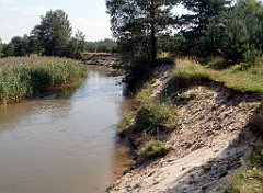 IMG_x18064_X44_P09010546_cr