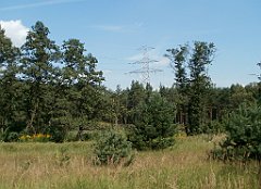 IMG_x18064_X44_P09010551_cr